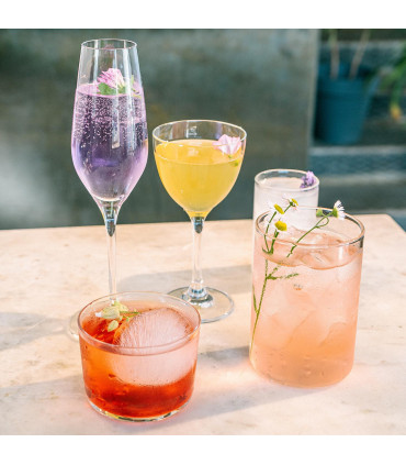 3 Pack Ice Cube Tray Easy-Release Silicone Flexible Ice Mould Tray BLUE 0000364