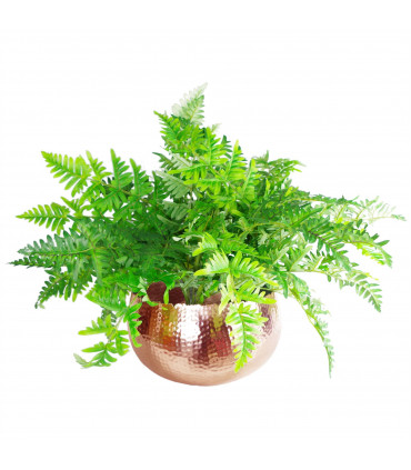 Leaf Large Metal Planter Bowl 32 x 20cm Hammered Copper Colour - Curvy Edge