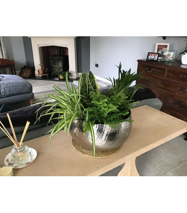 Leaf Large Metal Planter Bowl 32 x 20cm Hammered Silver Colour - Curvy Edge