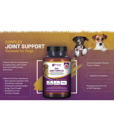 Dog Joint Support 150 Chicken Chewable Tablets 5 Months Supply | UK Made by Prowise