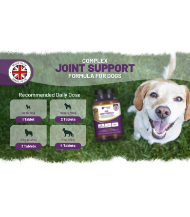 Dog Joint Support 150 Chicken Chewable Tablets 5 Months Supply | UK Made by Prowise