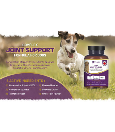 Dog Joint Support 150 Chicken Chewable Tablets 5 Months Supply | UK Made by Prowise