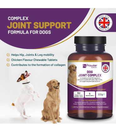 Dog Joint Support 150 Chicken Chewable Tablets 5 Months Supply | UK Made by Prowise