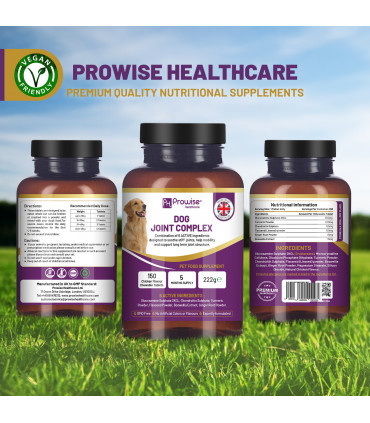 Dog Joint Support 150 Chicken Chewable Tablets 5 Months Supply | UK Made by Prowise