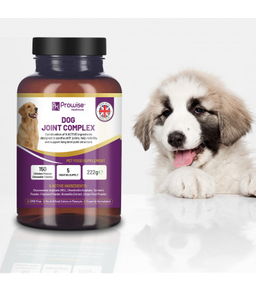 Dog Joint Support 150 Chicken Chewable Tablets 5 Months Supply | UK Made by Prowise