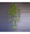 Artificial Hanging Acer Spider Plant Large Green Plastic 100cm Realistic Leaves