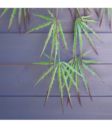 Artificial Hanging Acer Spider Plant Large Green Plastic 100cm Realistic Leaves