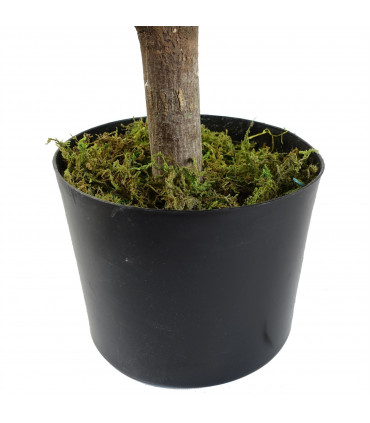 Topiary Green 120cm Pair of Buxus Triple Ball Artificial Trees UV Resistant