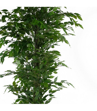 Artificial Ficus Tree
