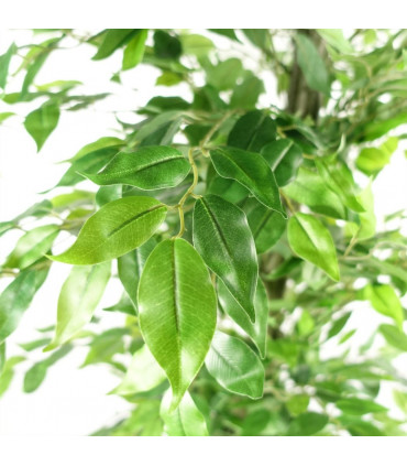 Artificial Ficus Tree