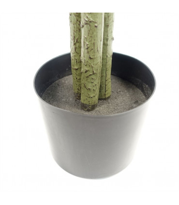 Artificial Ficus Tree