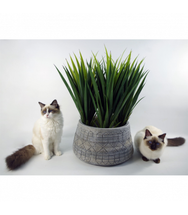 Planter Grey 22cm x 37cm Large Fibreglass Composite Rustic Style Indoor Use