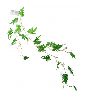 Artificial Hanging Trailing Philodendron Small Leaf Plant Green 100cm Pack of 6