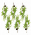 Artificial Hanging Maidenhair Fern Plant