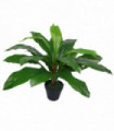 Artificial Bird's Nest Fern Plant 60cm Green Plastic Large Bushy 60cm