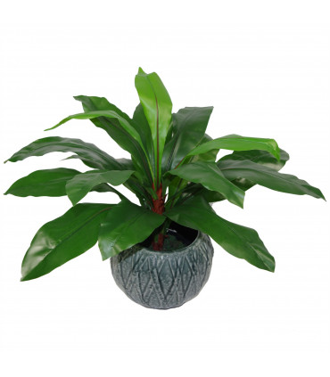Artificial Bird's Nest Fern Plant 60cm Green Plastic Large Bushy 60cm