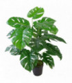 Artificial Monstera Cheese Plant Green 60cm Leaf realistic Moss covered pot