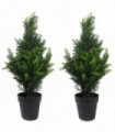 Topiary Pair Artificial Cedar Cypress Trees 60cm Green UV Resistant 280 Leaves