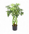 Artificial Plant Bonsai Bush Twisted Stem Golden Capella 70cm Green Yellow