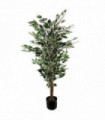 Ficus Tree 130cm Tall Variegated White/Green Bushy Artificial Tree Wood Trunk