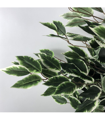 Ficus Tree 130cm Tall Variegated White/Green Bushy Artificial Tree Wood Trunk
