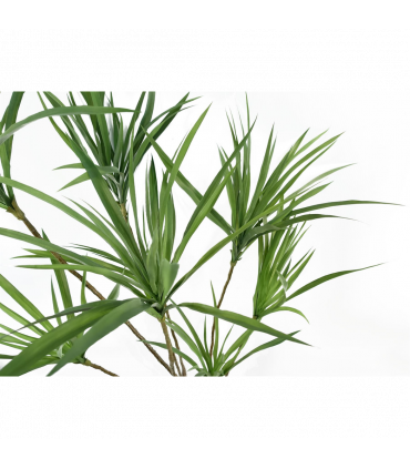 Artificial Dragon Tree Plant Green Plastic 125cm Natural Look Home Decor