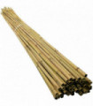 Bamboo Canes 4ft (120 cm) Natural Bamboo 10-12 mm - Versatile 30 x 4ft Sticks