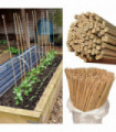 Bamboo 4ft (120 cm) Garden Canes Natural Bamboo 10-12 mm Thickness