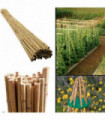 Bamboo 4ft (120 cm) Natural Bamboo color garden canes, 10-12 mm thickness