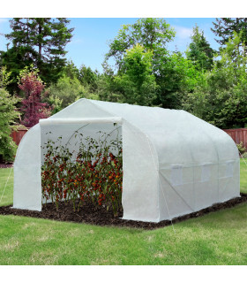 Walk-in Greenhouse