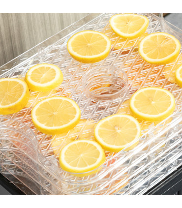 5 Tier Food Dehydrator 245W Stainless Steel Food Dryer Machine Timer LCD Silver