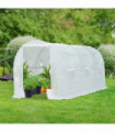 Outdoor Walk-In Poly Tunnel Greenhouse White Galvanized Steel Tube 4.5m x 2m