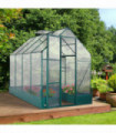 Greenhouse Polycarbonate Transparent Green 250cm x 190cm x 219cm Garden Walk-in