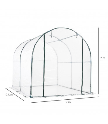 Greenhouse Walk-in Tunnel Clear PVC Cover Steel Frame S Size 2.5m x 2m x 2m