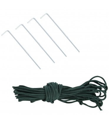 Greenhouse Walk-in Tunnel Clear PVC Cover Steel Frame S Size 2.5m x 2m x 2m