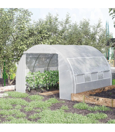 Polytunnel Greenhouse