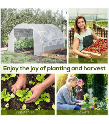 Polytunnel Greenhouse