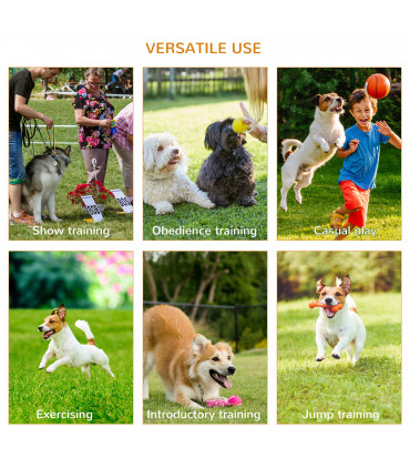 3-Piece Suit Portable Pet Agility Training Set for Dogs Obstacle Course