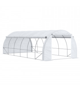 Polytunnel Greenhouse