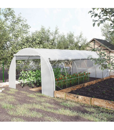 Polytunnel Greenhouse
