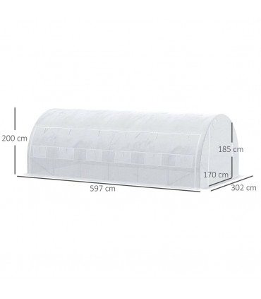 Polytunnel Greenhouse