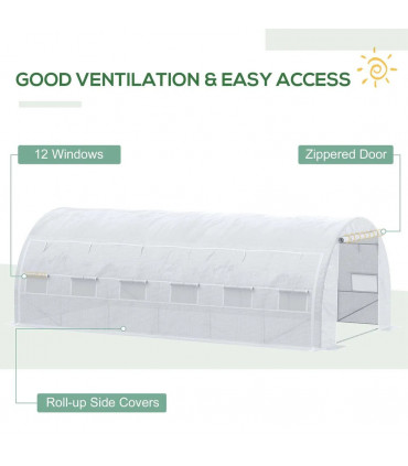 Polytunnel Greenhouse
