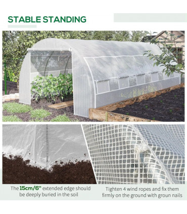 Polytunnel Greenhouse