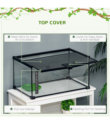 Glass Reptile Terrarium