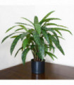 Artificial Calathea Plant 60cm x 60cm Variegated Green Bushy Leaves