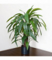 Artificial Calathea Plant Variegated Green 90cm x 70cm Plastic Weighted Base Pot