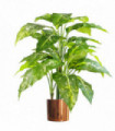 Artificial Plant Tree 100cm Large Fox's Aglaonema with Copper Metal Planter