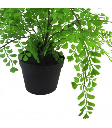 35cm Artificial Potted Fern Plant (Southern Maidenhair Fern)