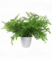 Artificial Potted Southern Wood Fern Green 30cm x 30cm Realistic Leaf Design