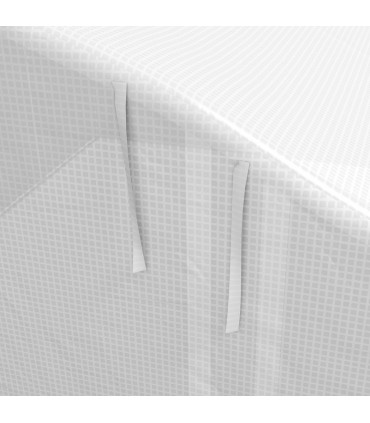 Polytunnel Greenhouse